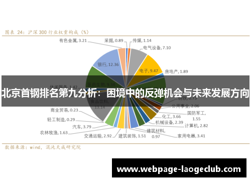 北京首钢排名第九分析：困境中的反弹机会与未来发展方向