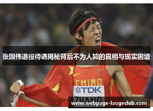 张国伟退役待遇揭秘背后不为人知的真相与现实困境