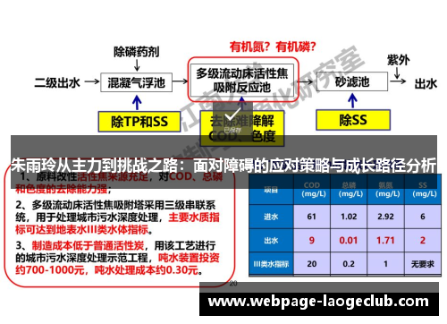 朱雨玲从主力到挑战之路：面对障碍的应对策略与成长路径分析