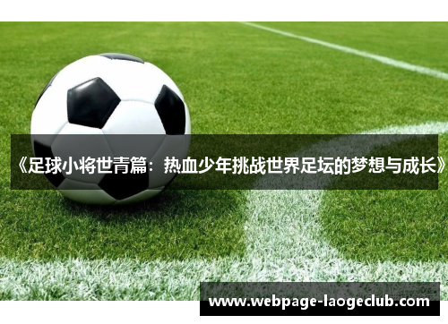 《足球小将世青篇：热血少年挑战世界足坛的梦想与成长》
