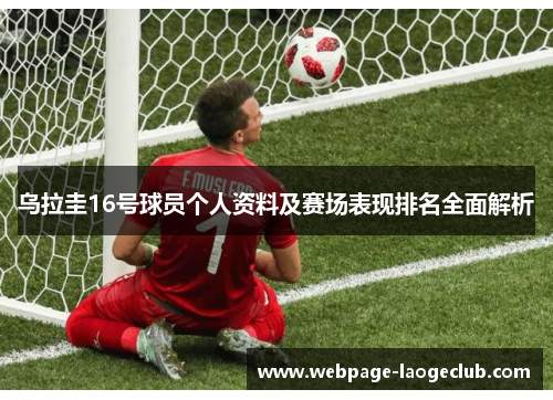 乌拉圭16号球员个人资料及赛场表现排名全面解析
