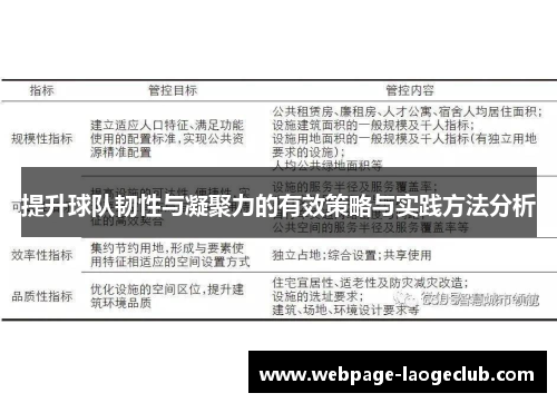 提升球队韧性与凝聚力的有效策略与实践方法分析