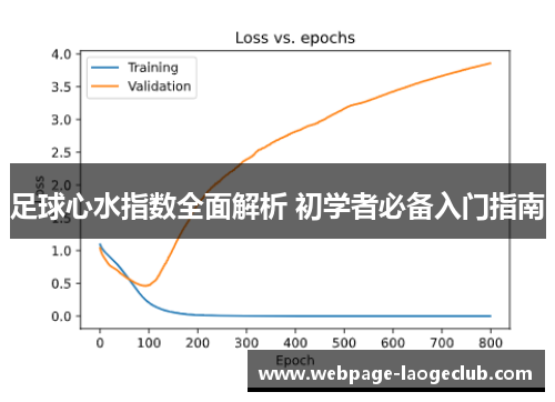 足球心水指数全面解析 初学者必备入门指南